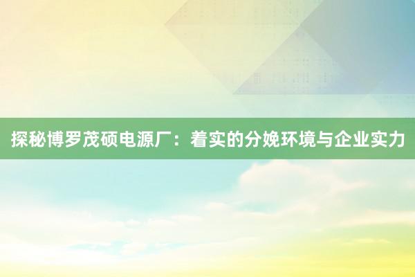探秘博罗茂硕电源厂：着实的分娩环境与企业实力